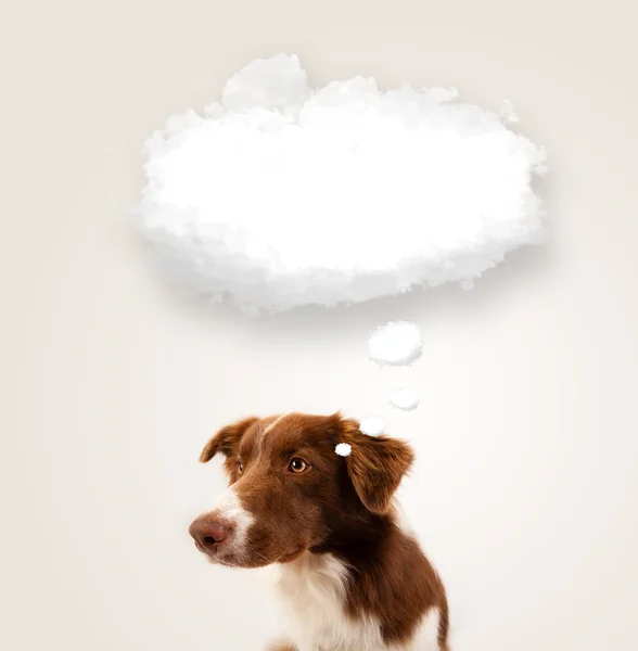 Cute dog with empty cloud bubble — Stock Photo, Image