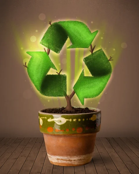 Recycle teken groeien uit bloempot — Stockfoto