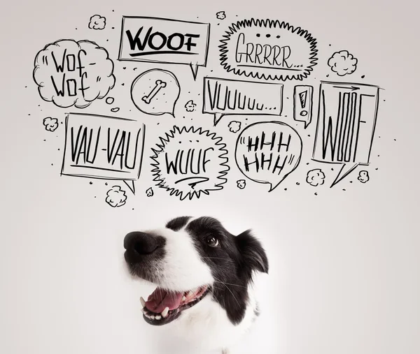 Lindo perro con burbujas ladrando — Foto de Stock