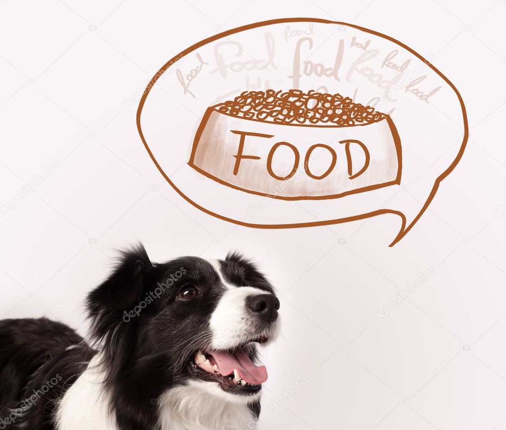 dromen over eten dromen over eten