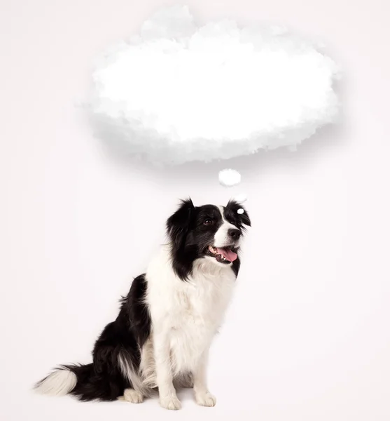 Мила собака з порожньою хмарною бульбашкою — стокове фото