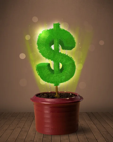 Dollar sign tree coming out of flowerpot — Stock Photo, Image