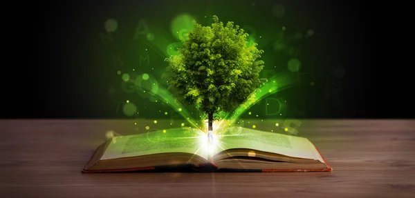 Відкрита книга з магічним зеленим деревом і променями світла — стокове фото