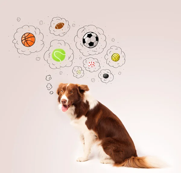 Cute dog with balls in thought bubbles — Stock Photo, Image