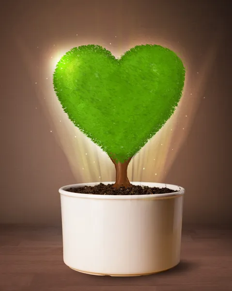 Eco árbol del corazón que sale de maceta — Foto de Stock