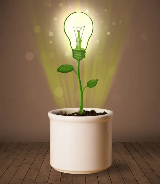 花器から出てくる電球の植物 — ストック写真