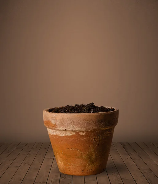 Flowerpot com espaço de cópia — Fotografia de Stock