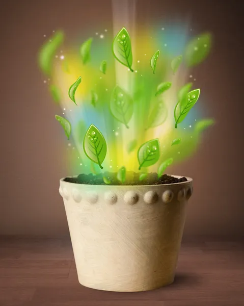 Foglie incandescenti che escono dal vaso da fiori — Foto Stock