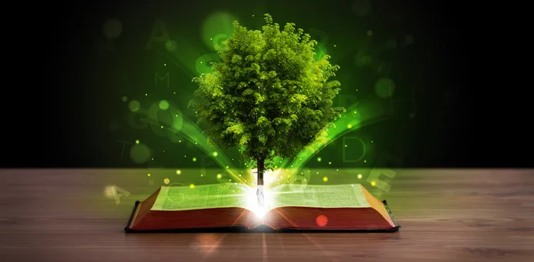 Libro abierto con árbol verde mágico y rayos de luz —  Fotos de Stock