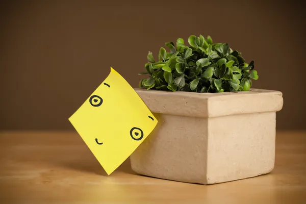 Post-it-Zettel mit Smiley-Gesicht auf Blumentopf geklebt — Stockfoto