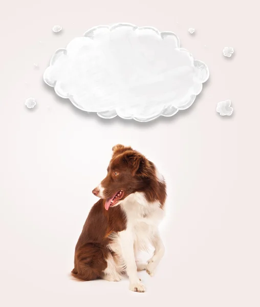 Niedlicher Border Collie mit leeren Wolken — Stockfoto