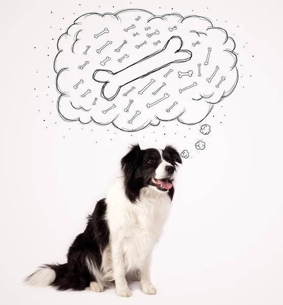 Border collie with thought bubble thinking about a bone — Stock Photo, Image