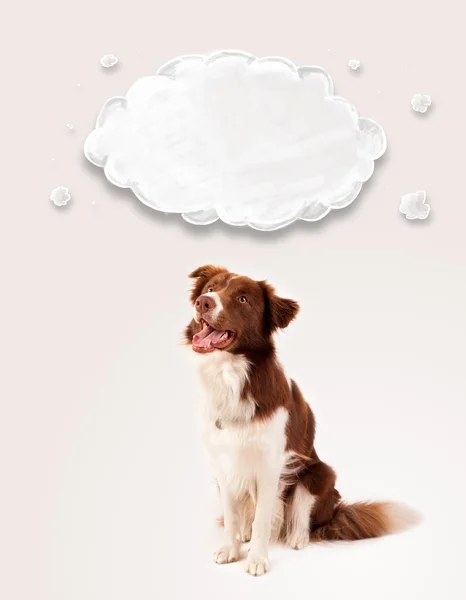 Niedlicher Border Collie mit leeren Wolken — Stockfoto