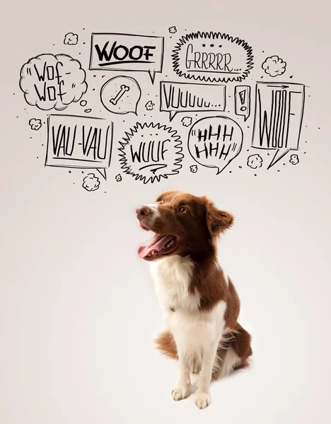 Cute dog with barking bubbles — Stock Photo, Image