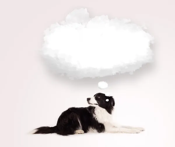 구름 거품 이 없는 귀여운 개 — 스톡 사진