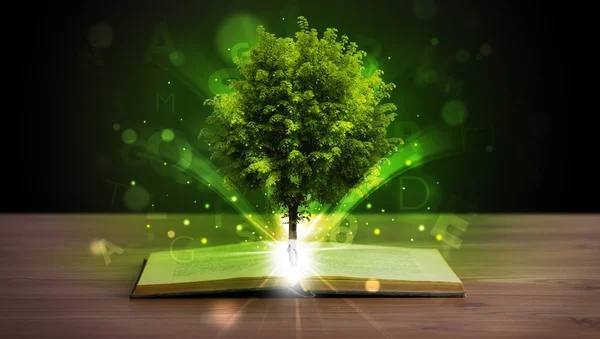Buka buku dengan pohon hijau ajaib dan sinar cahaya — Stok Foto