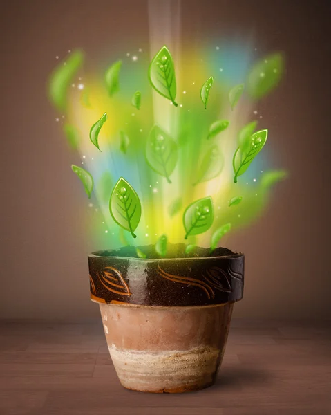 Glowing leaves coming out of flowerpot — Stock Photo, Image