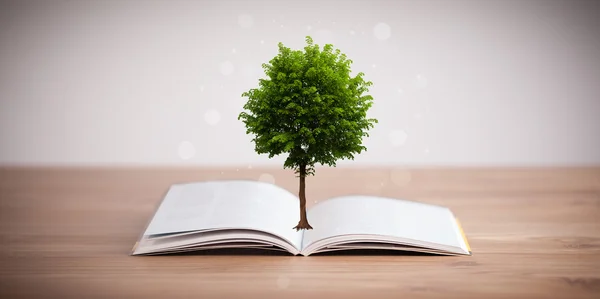 Pohon yang tumbuh dari buku yang terbuka — Stok Foto