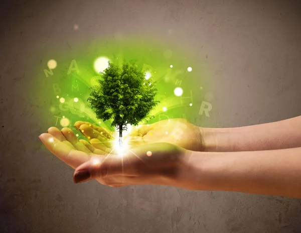 Светящееся дерево растет в руке женщины — стоковое фото