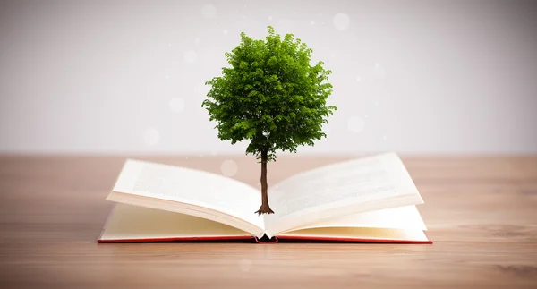 从一本打开的书里长出来的树 — 图库照片