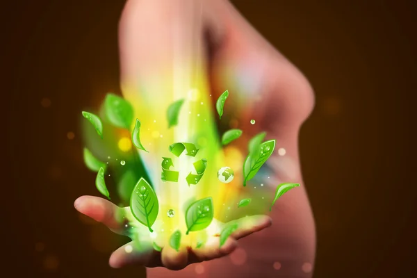 Young woman presenting eco green leaf recycle energy concept — Stock Photo, Image