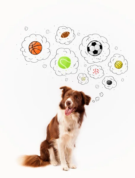 Cute dog with balls in thought bubbles — Stock Photo, Image