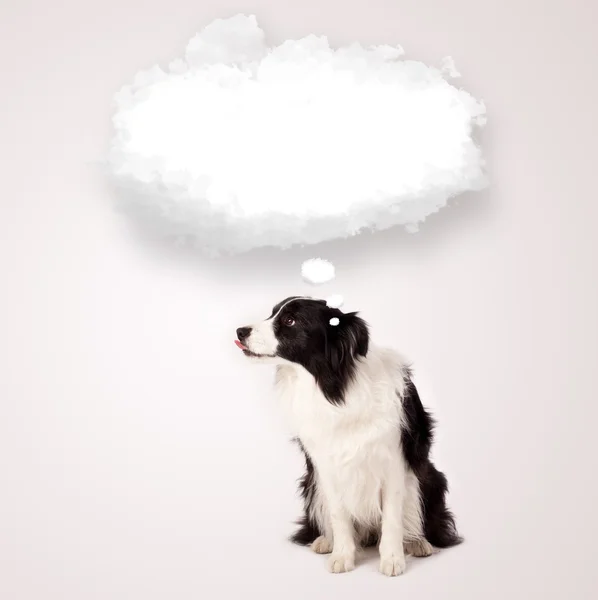 带空云雾的可爱狗 — 图库照片