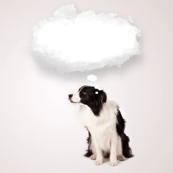 Chien mignon avec bulle nuage vide — Photo