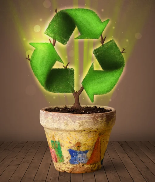 Recycle teken groeien uit bloempot — Stockfoto