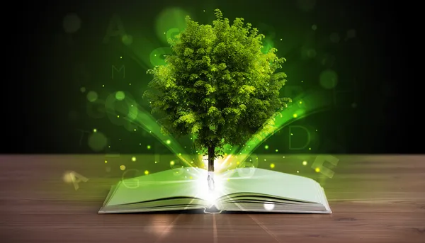 Open book with magical green tree and rays of light — Stock Photo, Image