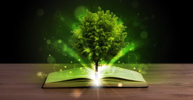 Sihirli yeşil ağaç ve ışık ışınlarıyla açık bir kitap