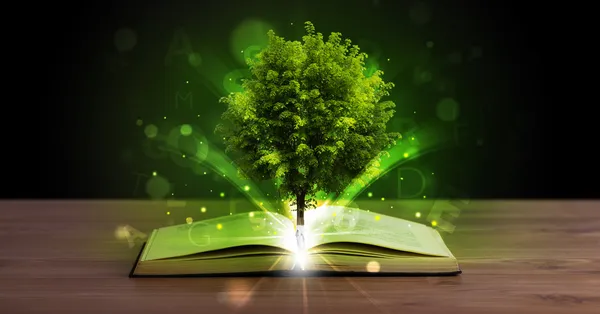 Otwarta książka z magicznym zielonym drzewem i promieniami światła — Zdjęcie stockowe
