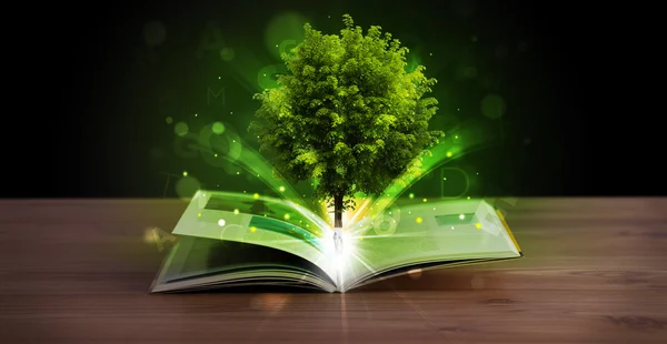 Open book with magical green tree and rays of light — Stock Photo, Image