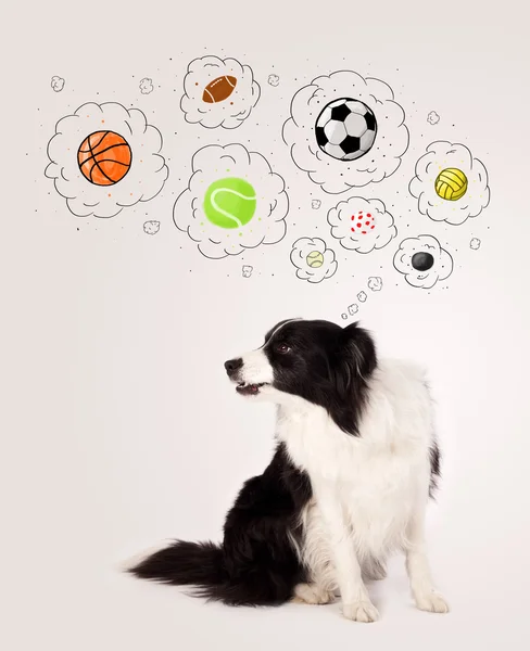 Cute dog with balls in thought bubbles — Stock Photo, Image