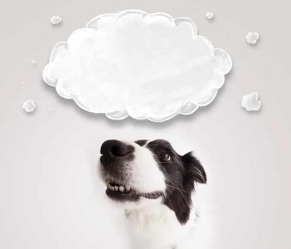 带空云彩的可爱的边境牧羊犬 — 图库照片
