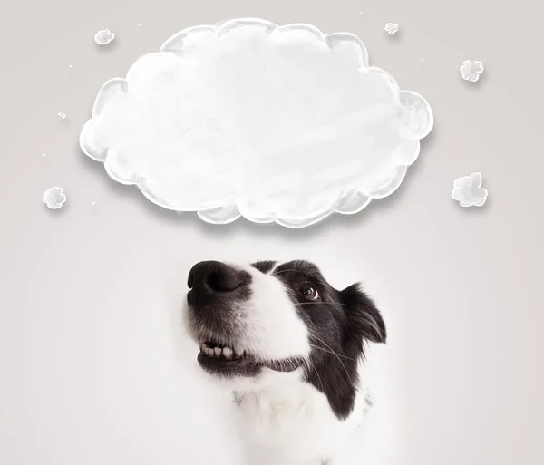 Niedlicher Border Collie mit leeren Wolken — Stockfoto