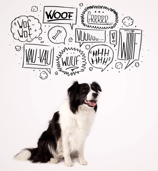 Lindo perro con burbujas ladrando — Foto de Stock