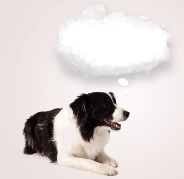 Leuke hond met lege wolkenzeepbel — Stockfoto