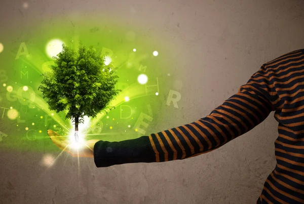 Leuchtender Baum wächst in der Hand einer Frau — Stockfoto