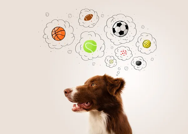 Söt hund med bollar i tankebubblor — Stockfoto