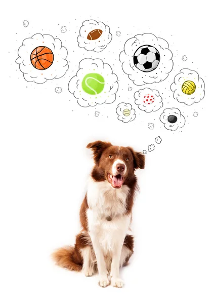 Lindo perro con bolas en burbujas de pensamiento —  Fotos de Stock