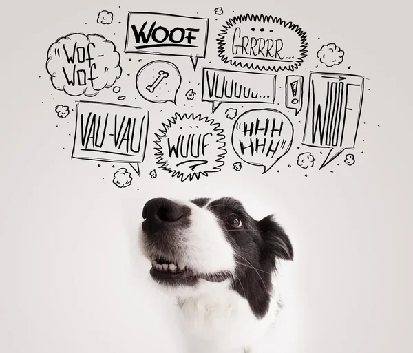 Cute dog with barking bubbles — Stock Photo, Image