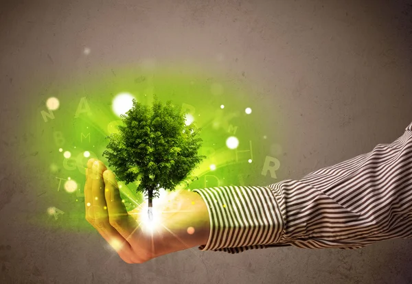 Glowing tree growing in the hand of a businessman — Stock Photo, Image