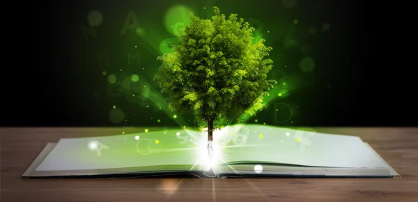 Livro aberto com árvore verde mágica e raios de luz — Fotografia de Stock