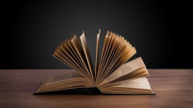 Tahta güvertede kitabı aç