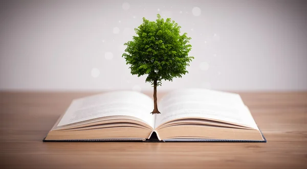 Árbol creciendo de un libro abierto —  Fotos de Stock