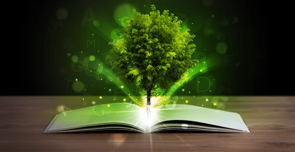 Öppen bok med magiska gröna träd och ljusstrålar — Stockfoto
