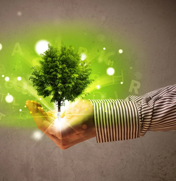 ต้นไม้ที่ส่องแสงเติบโตในมือของนักธุรกิจ — ภาพถ่ายสต็อก