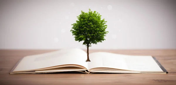 Tree growing from an open book — Stock Photo, Image