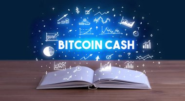 Açık bir kitaptan çıkan iş yazıları